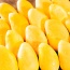 Xoài cát chu da vàng, đạt chuẩn VietGAP